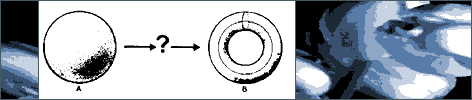 ring.GIF (6417 Byte)