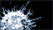 virus.GIF (1988 Byte)
